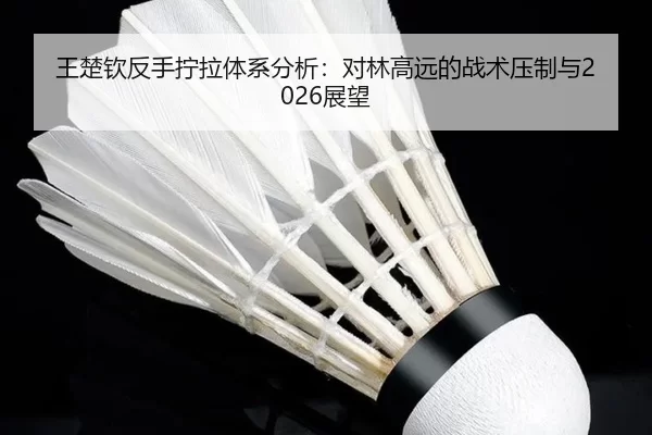 王楚钦反手拧拉体系分析：对林高远的战术压制与2026展望